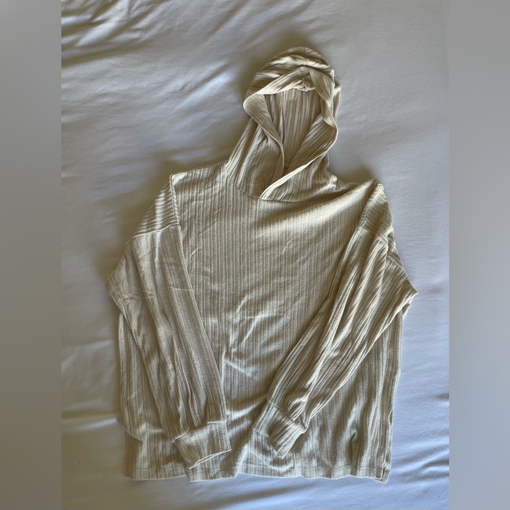 AE Plush Hoodie
